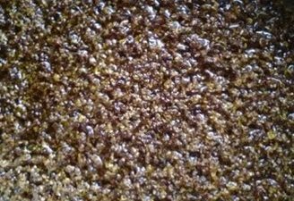 Osmanthus Sugar