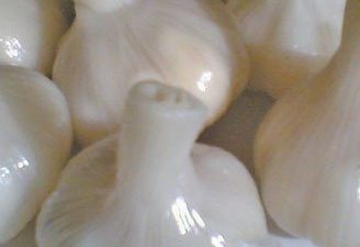 Pickled Sweet Garlic