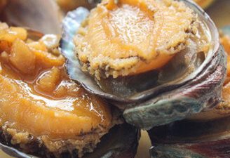 Japanese Abalone In Cold Sauce