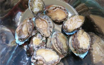 Clean fresh abalone