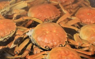 Steam The Crabs