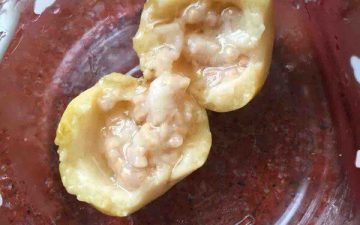 dried orange peel guava.