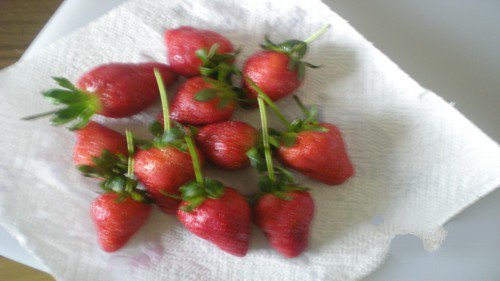 Wash strawberries