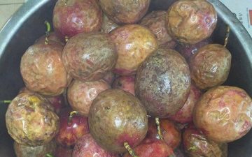 Wash 5 kilos of passion fruit.