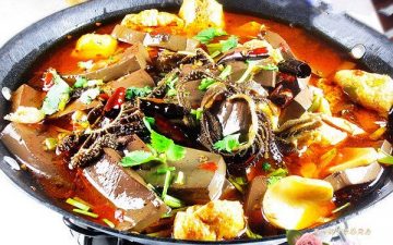 Duck Blood Hot Pot