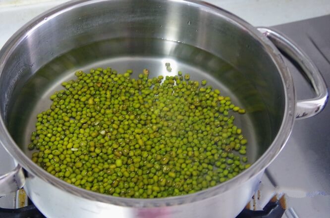 Add enough water to the pot