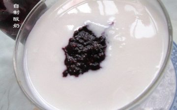 Homemade Mulberry Yogurt