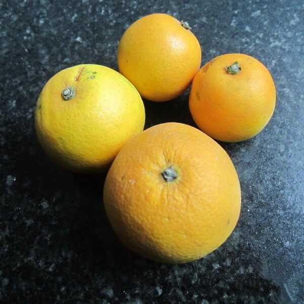 White Orange Juice Miss Chinese Food