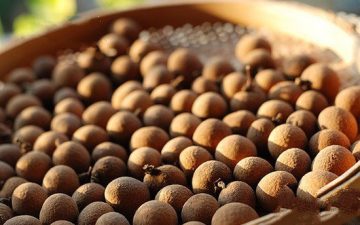 Homemade Dried Longan