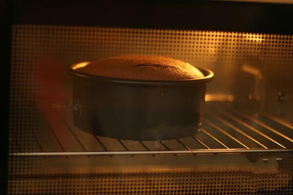 Roasted cocoa sponge