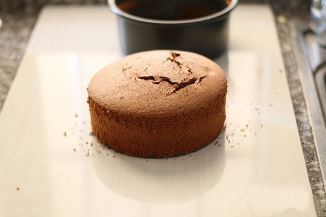 chocolate sponge cake