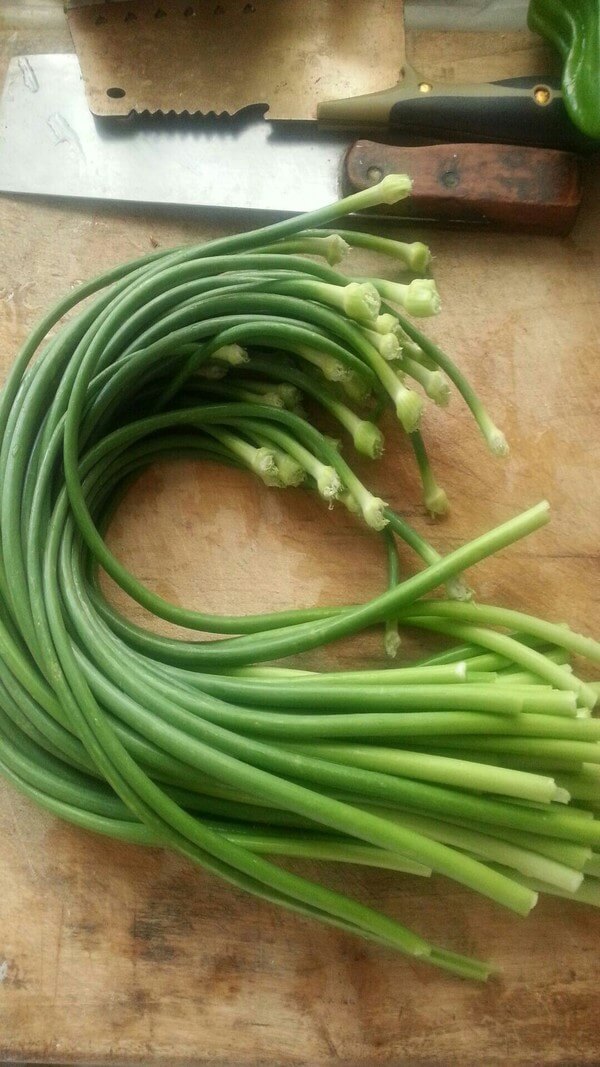 Remove the head and tail of garlic sprouts and wash
