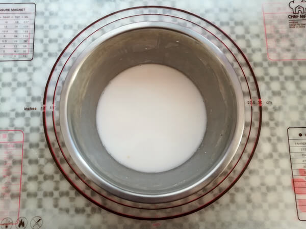 Intestinal powder special powder